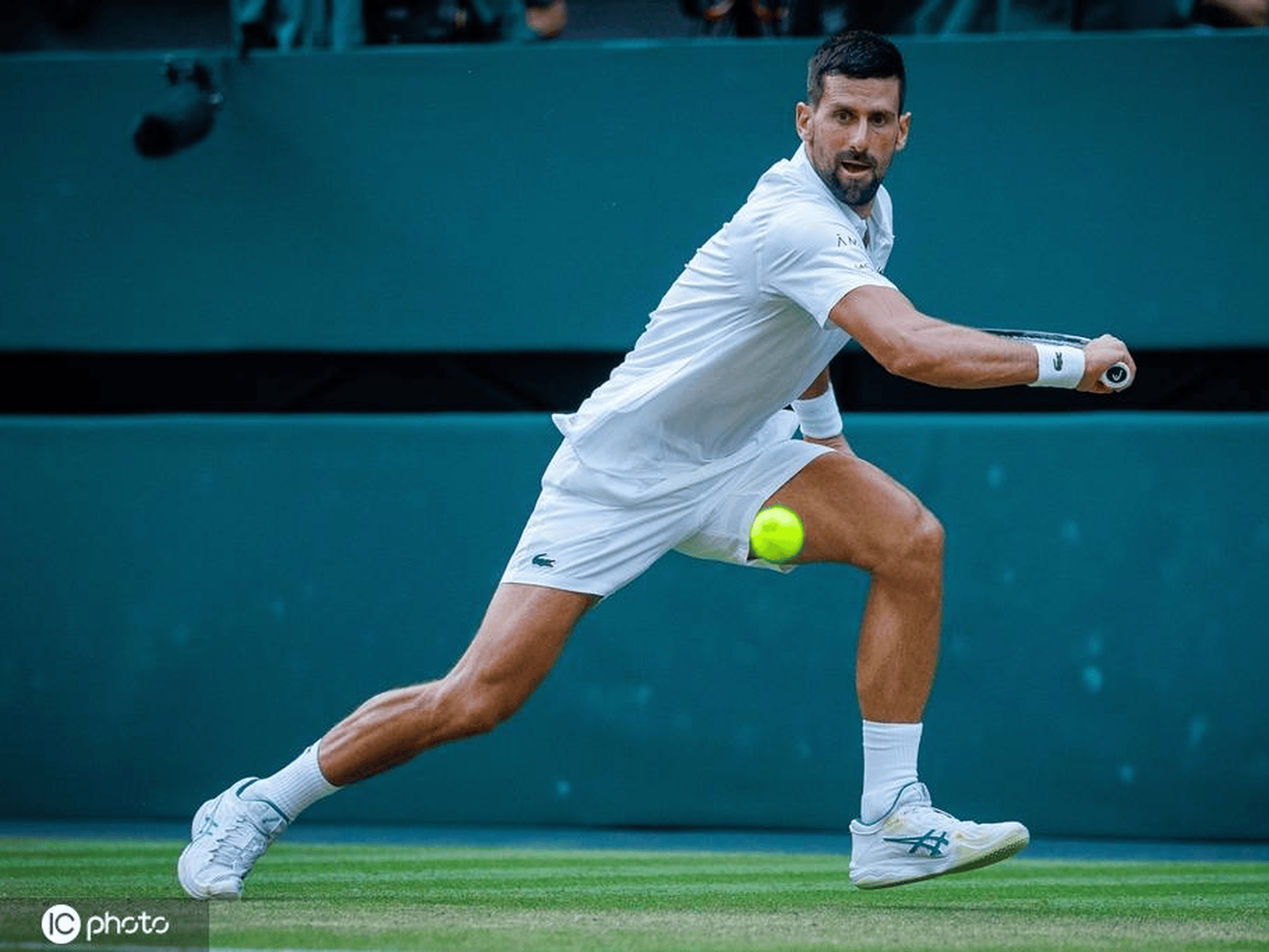 拉沃尔杯完胜戴维斯杯，德约科维奇状态火热