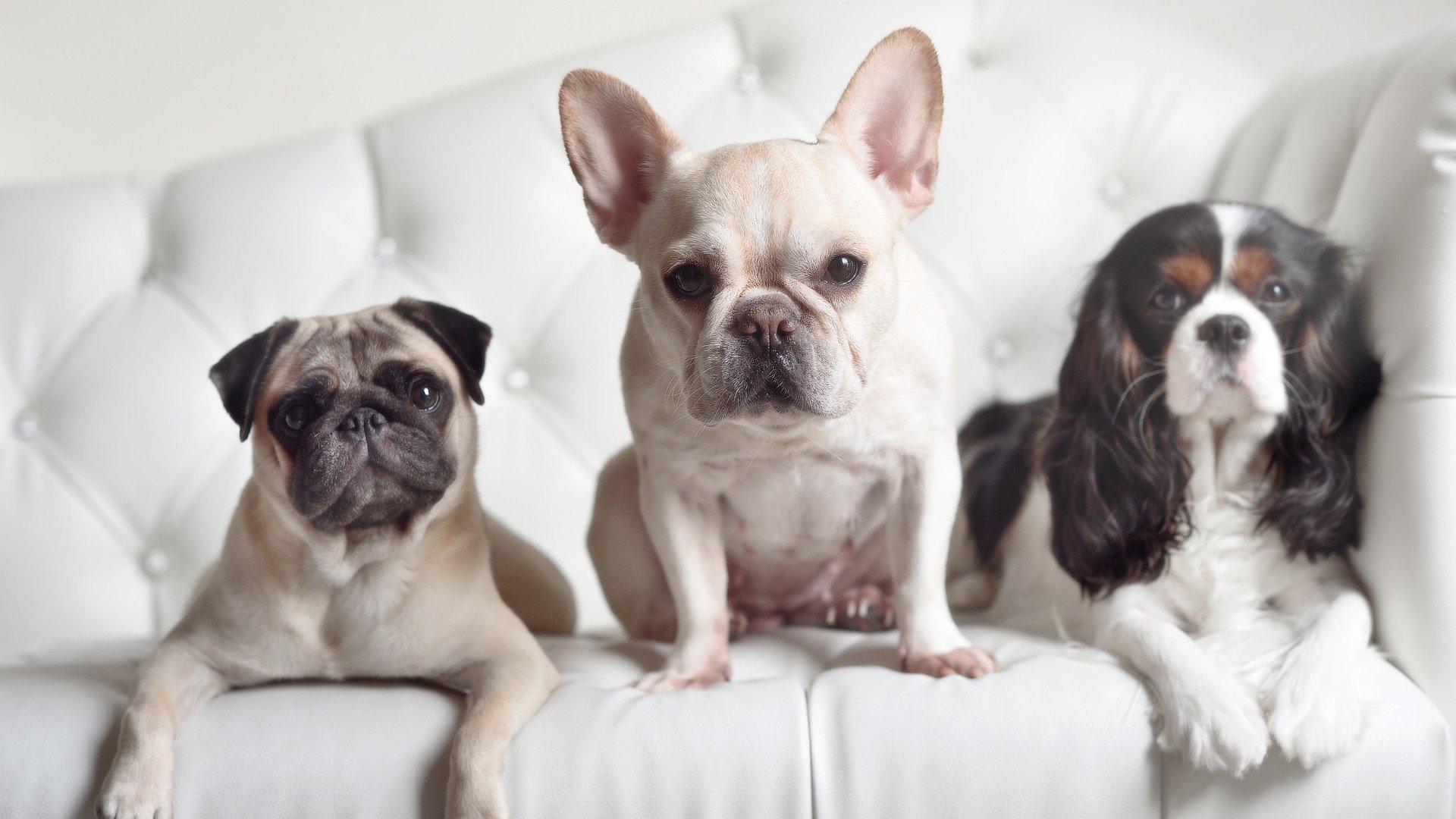 劳塔罗的独舞之夜，当里昂的星光被一人主宰