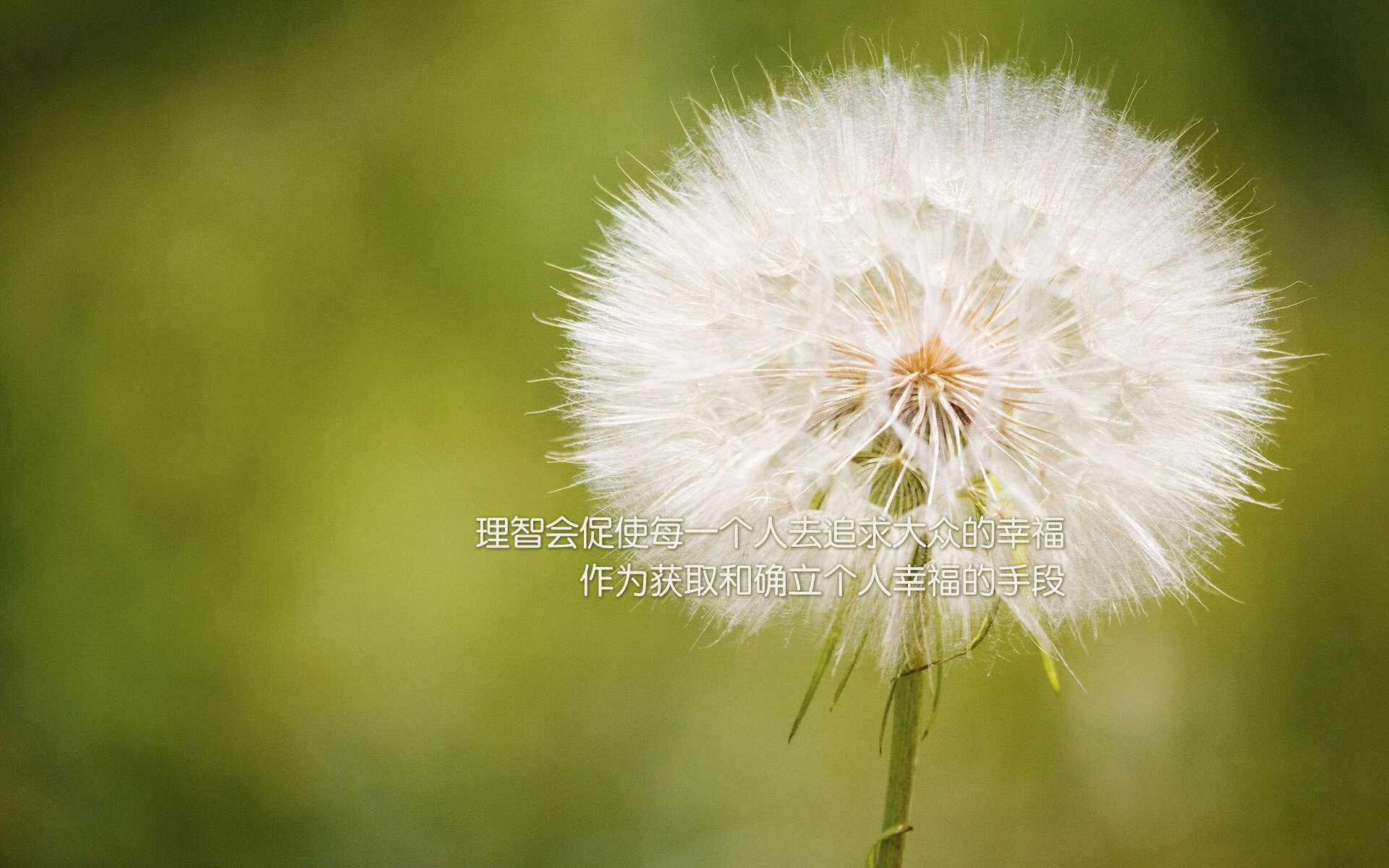 当袋鼠军团遭遇北非之狐，C罗的统治力跨越洲际的足球启示