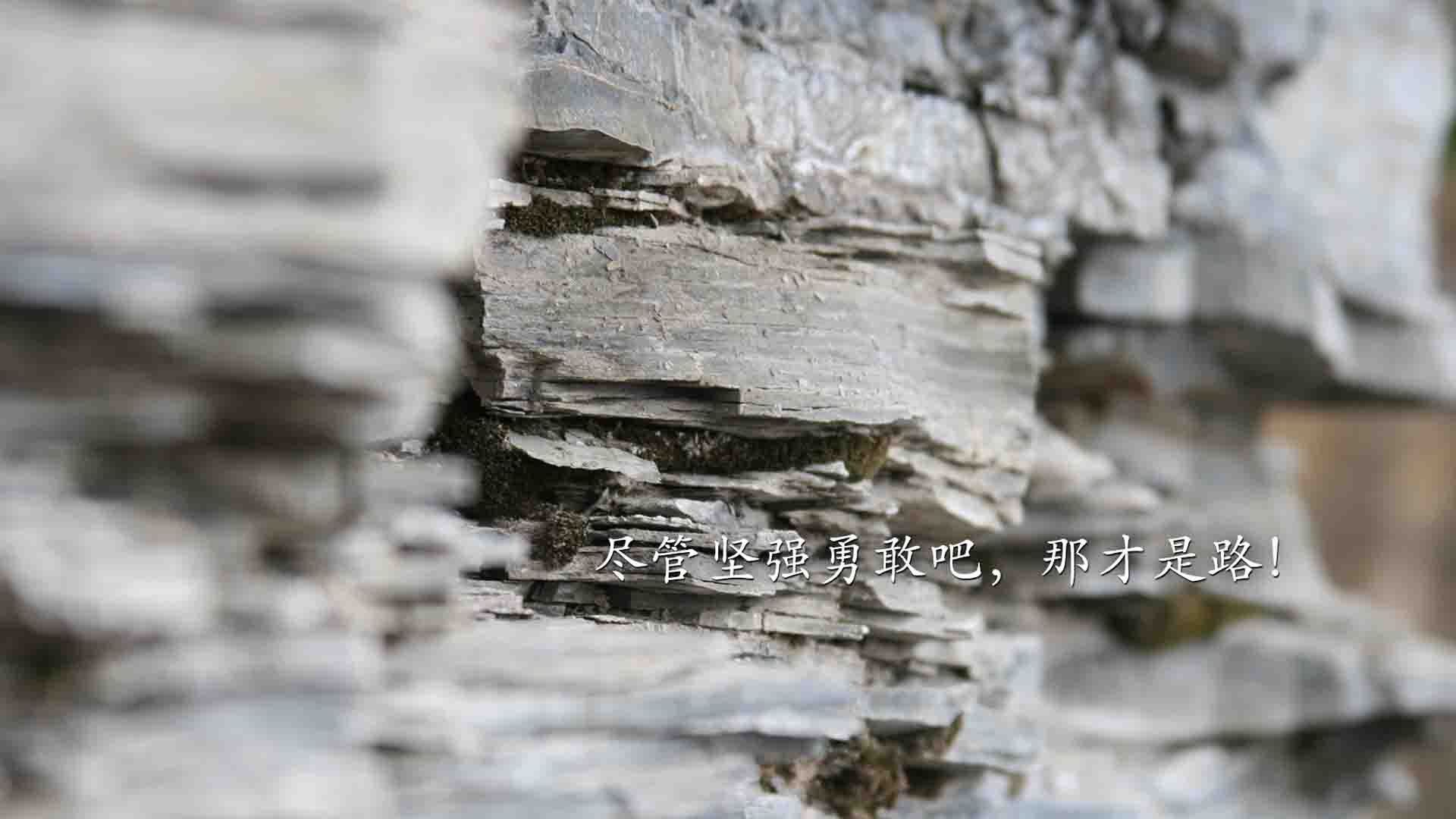 奥亚尔萨瓦尔独舞之夜,德甲争冠战的天神下凡