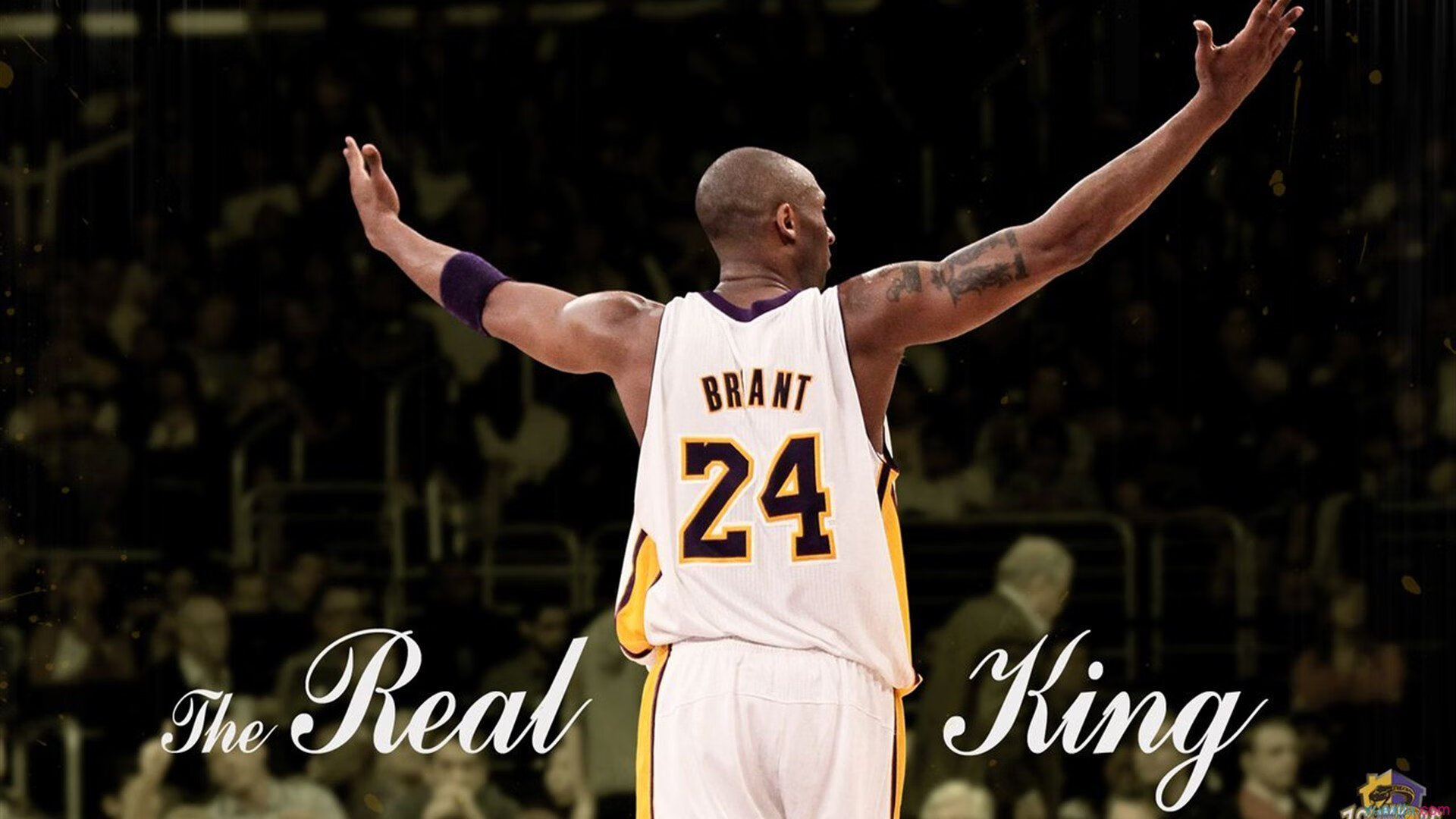 当ATP总决赛的绝杀回响在拉沃尔杯，纳达尔关键制胜背后的传奇逻辑